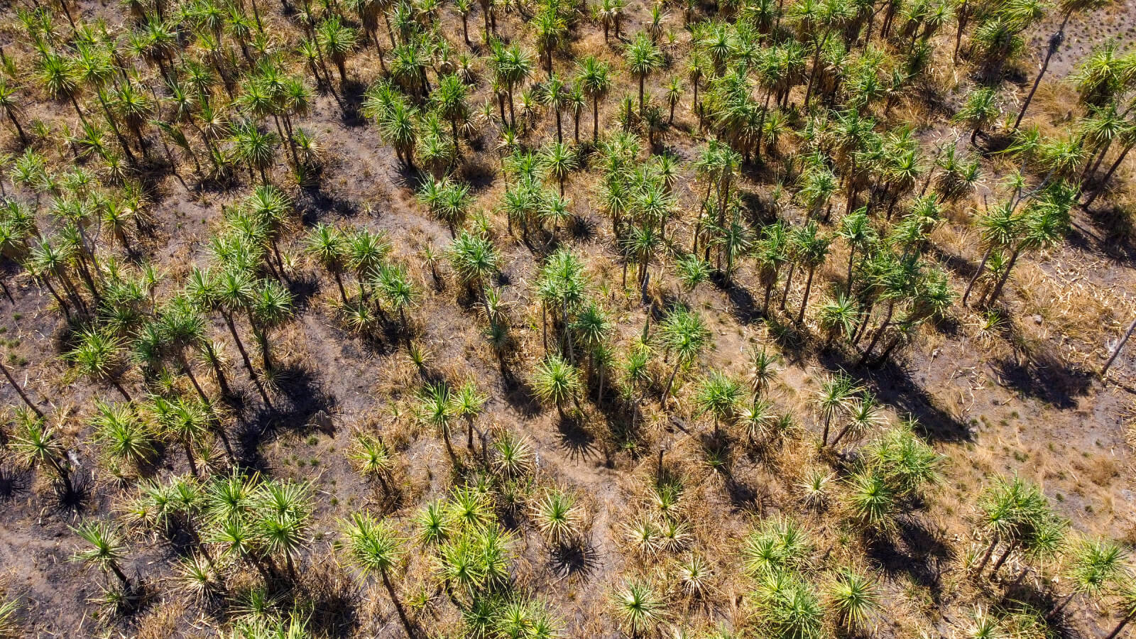 Arnhem Highway Northern Territory aerial scenes